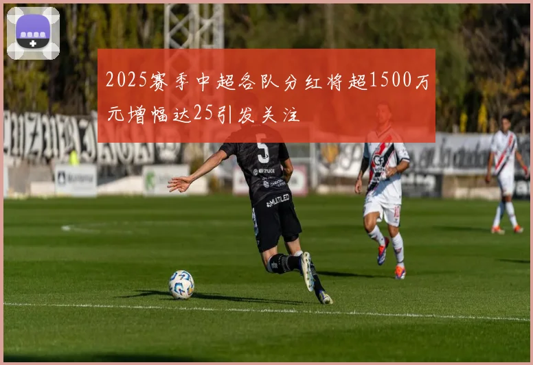 2025赛季中超各队分红将超1500万元增幅达25引发关注