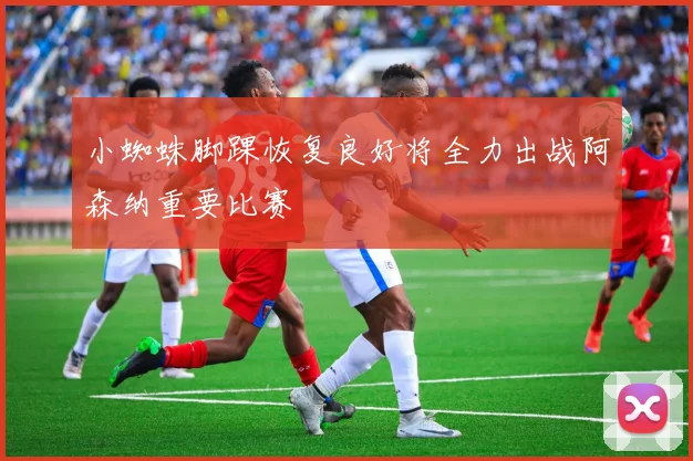 小蜘蛛脚踝恢复良好将全力出战阿森纳重要比赛